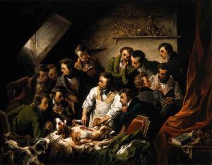 Vivisection of a dog